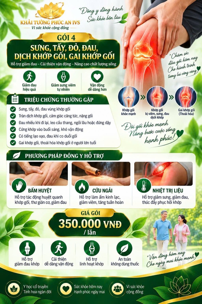 GÓI 04 - Sưng, Tấy, Đỏ, Đau, Dịch Khớp Gối, Gai Khớp Gối